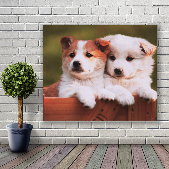 Half hand drawn cat and dog pattern decorative oil painting